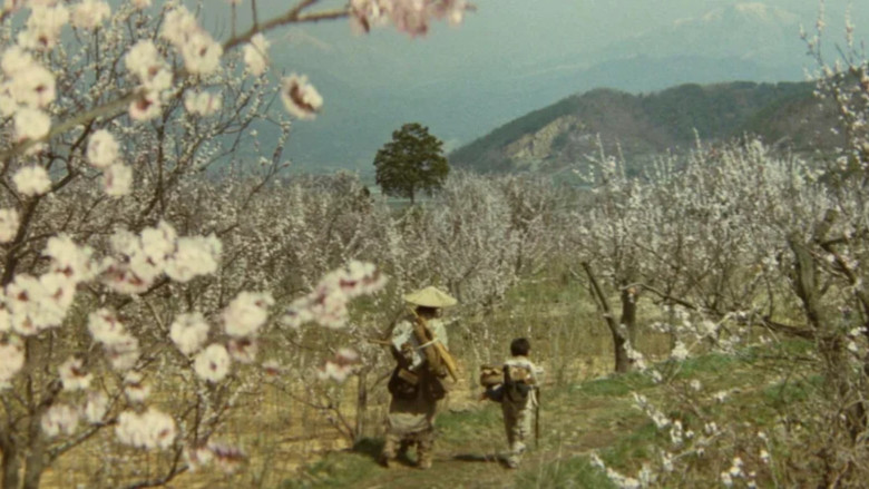 Scene 5