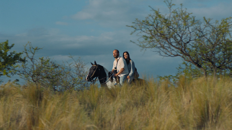 Scene 5