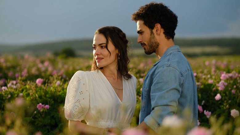 Gül Masalı backdrop