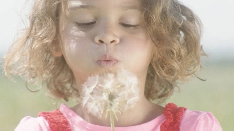 Dandelion backdrop