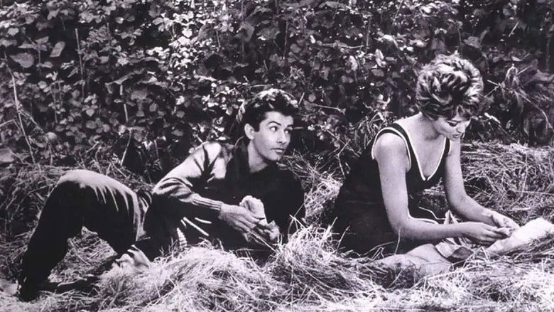 Scene 5