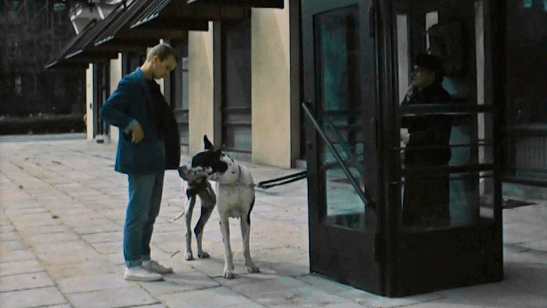 Scene 5