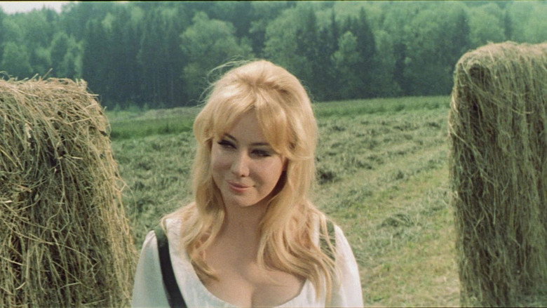 Scene 3