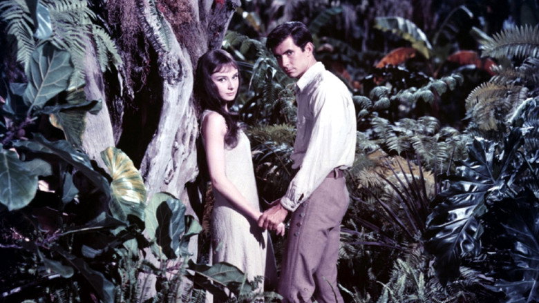 Scene 4