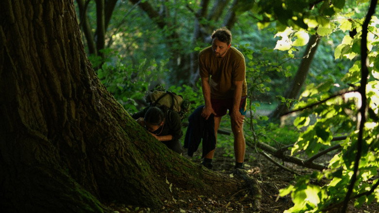 Scene 5
