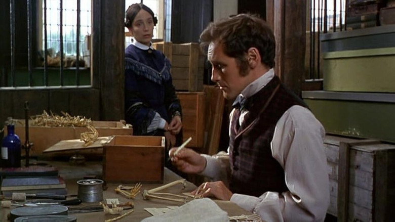 Scene 3