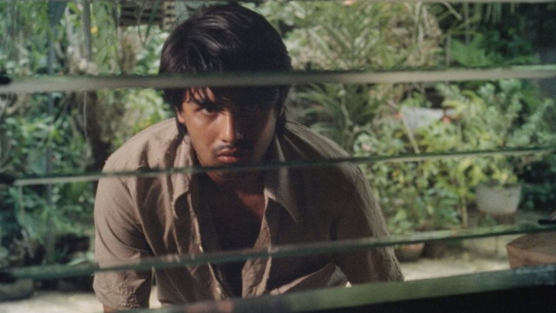 Scene 5