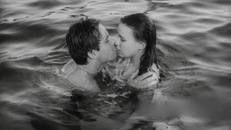 Scene 3