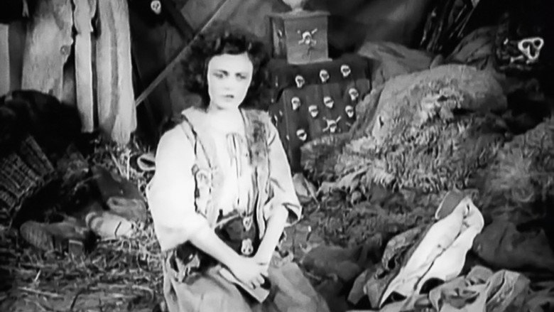 Scene 5