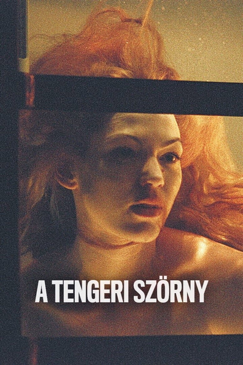 Poster 6