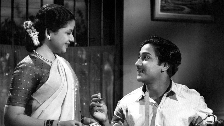 Scene 5