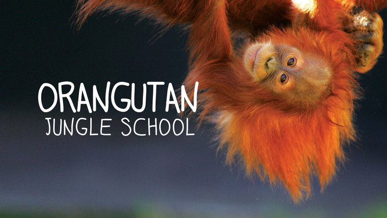 Orangutan Jungle School backdrop