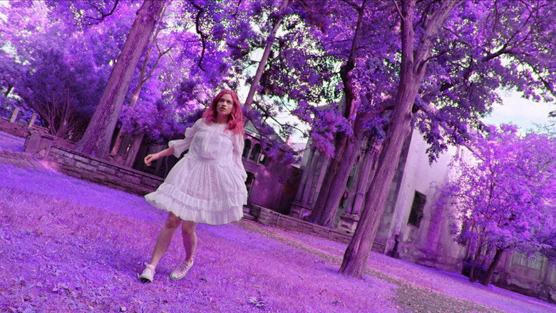 Scene 4
