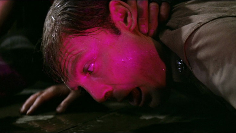 Scene 5