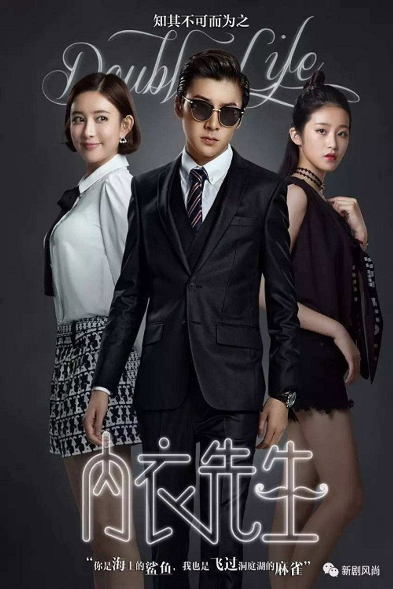 Poster 2