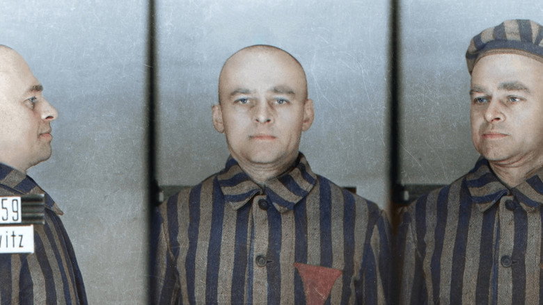 Infiltré à Auschwitz backdrop