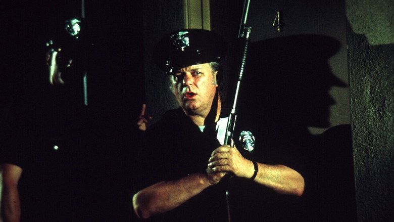 Scene 5