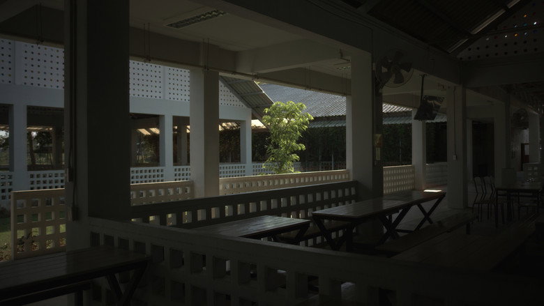 view all