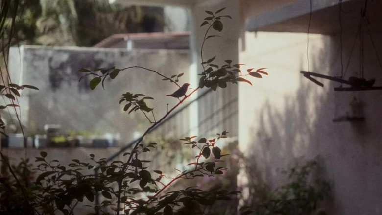 Scene 5