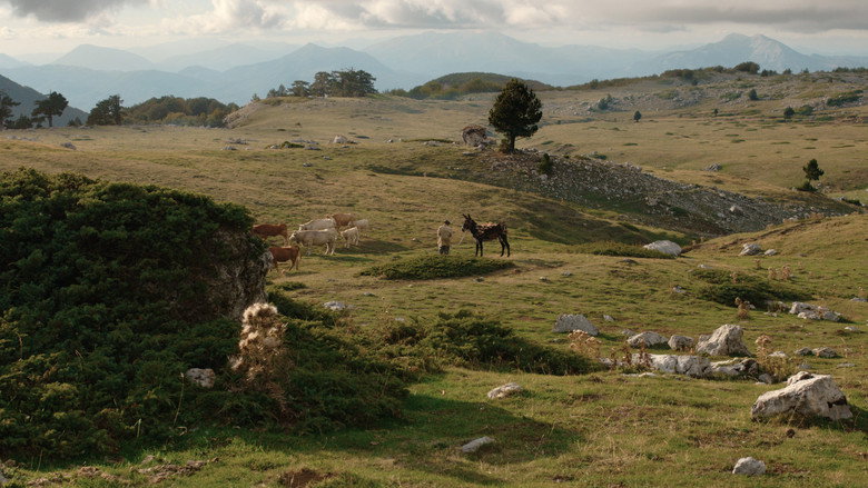 view all