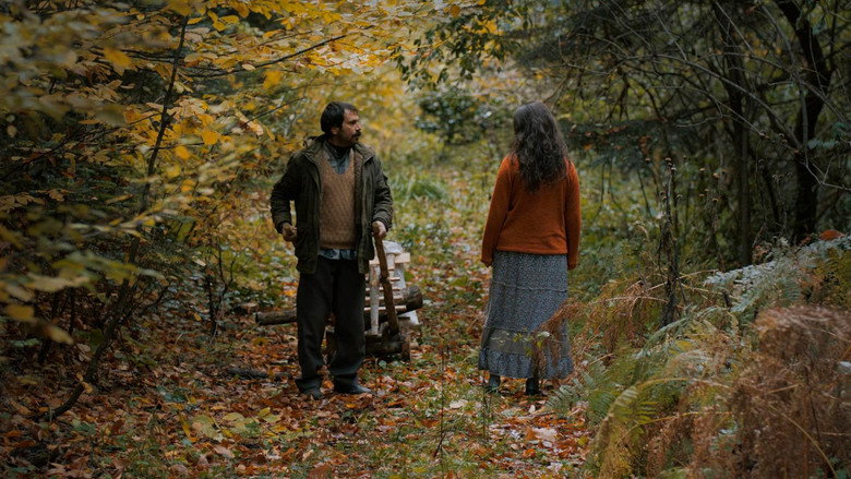 Scene 3