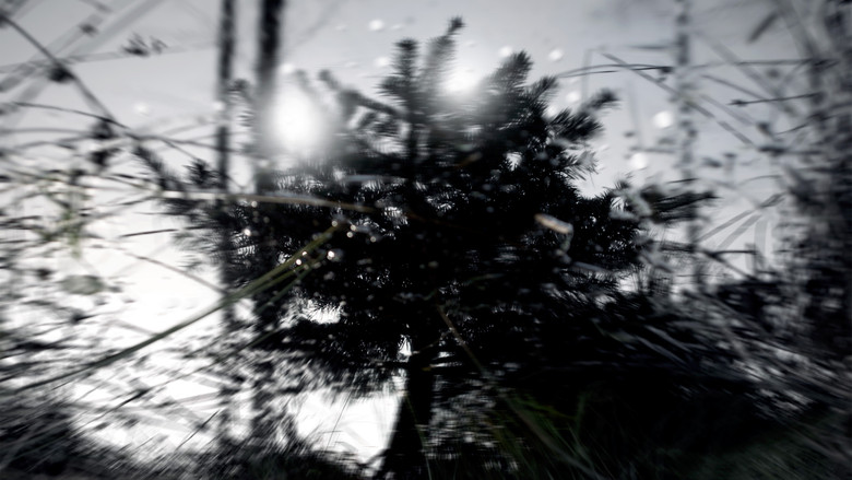 Scene 3