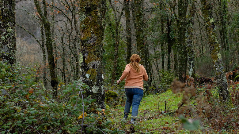 Scene 5