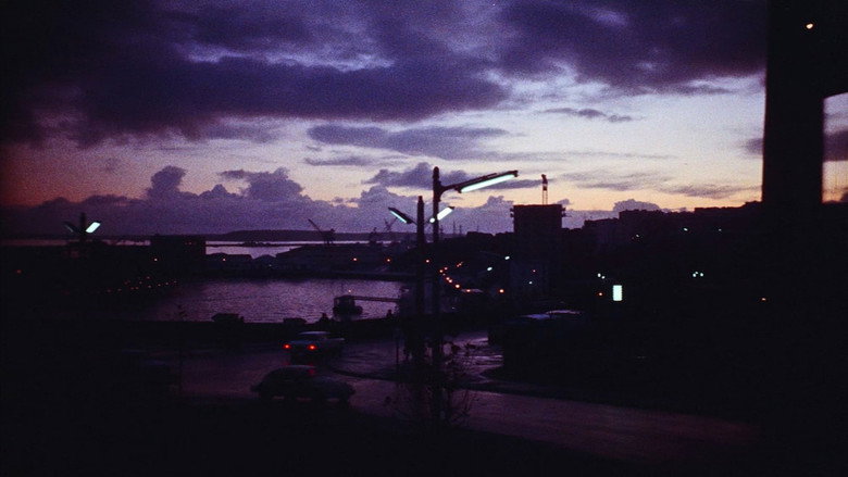 view all