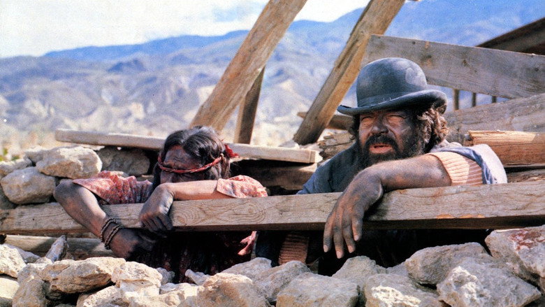 Scene 5