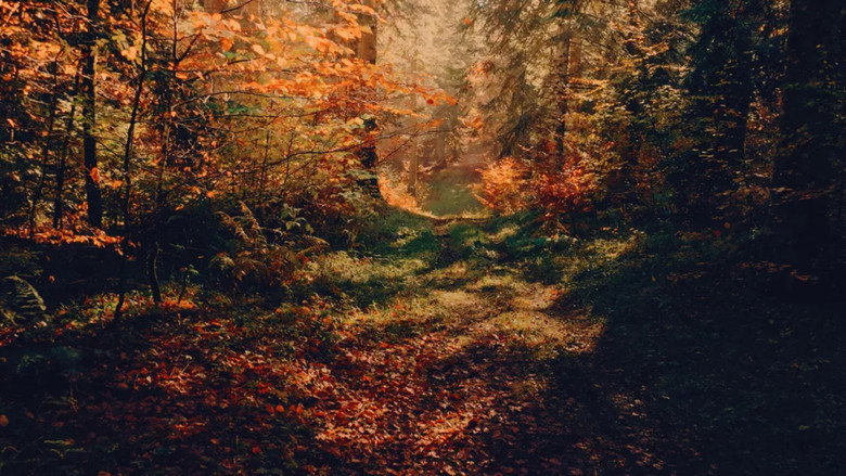 Scene 3