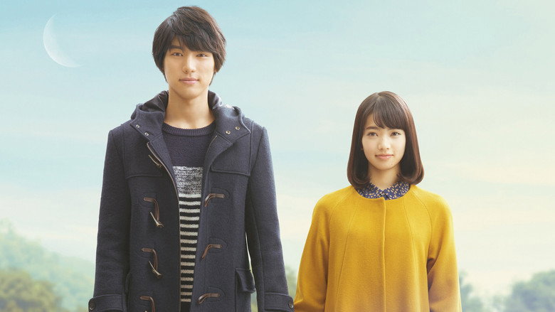 Scene 5