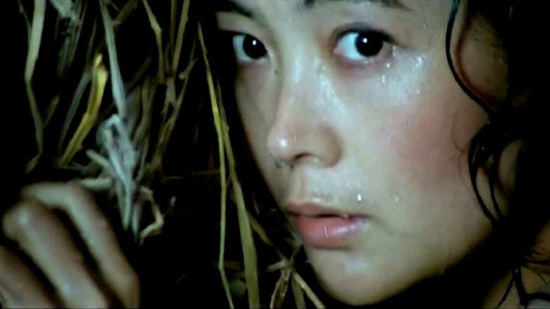 Scene 3