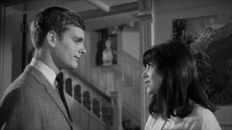 Scene 5