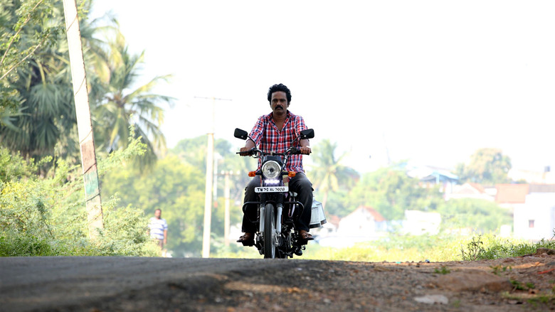 Scene 3