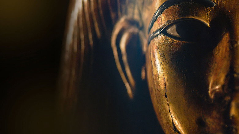 The Immortals: The Wonder of the Museo Egizio backdrop