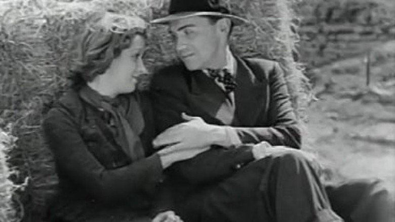 Scene 3