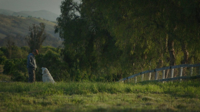 Scene 5
