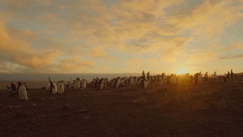 Scene 2