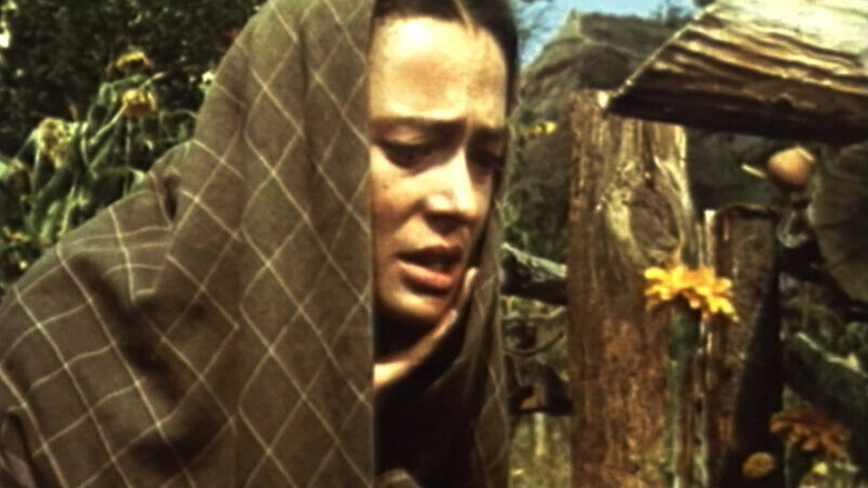 Scene 3