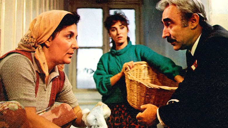 Scene 5