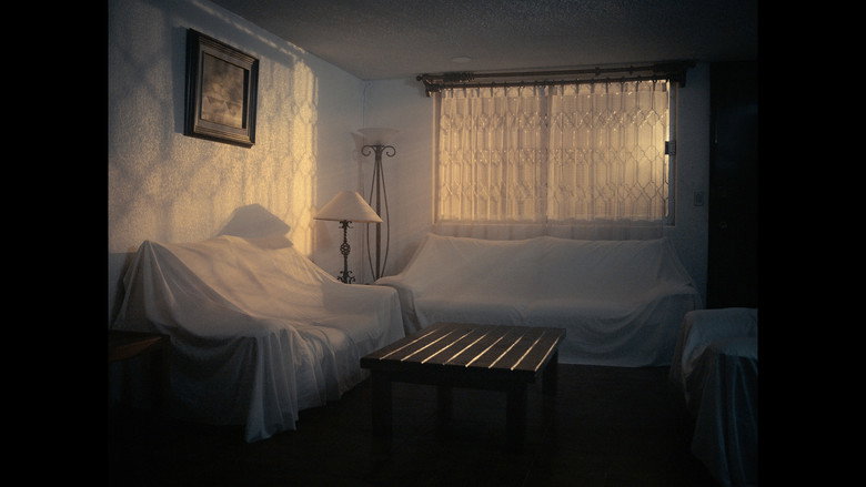 Scene 5