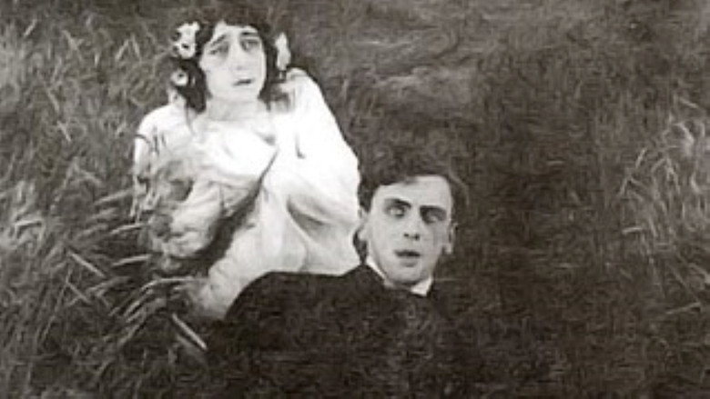 Scene 3