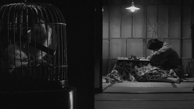 Scene 5