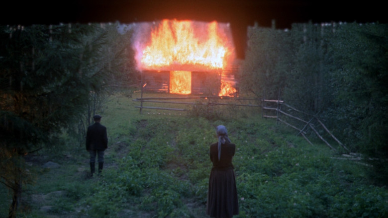 Scene 5