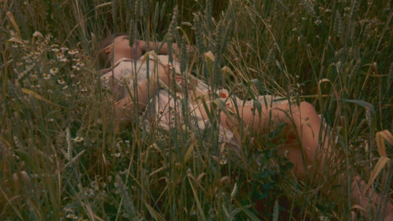 Scene 5