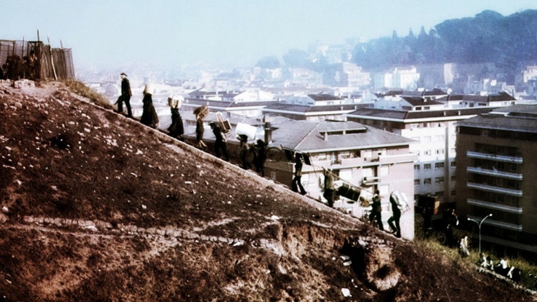 Scene 5