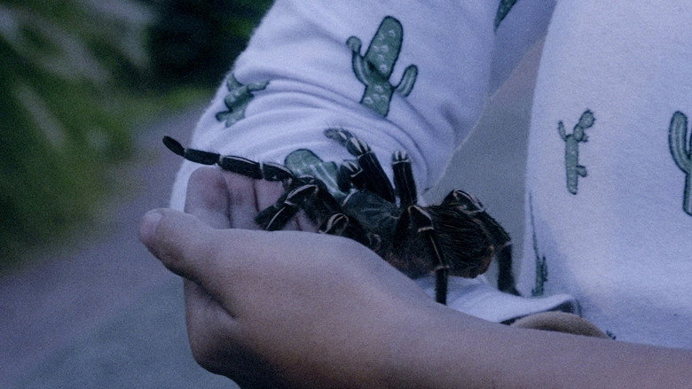 Scene 2