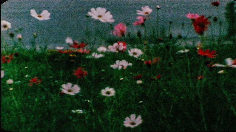 Scene 5