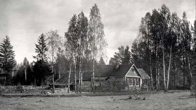 Scene 5