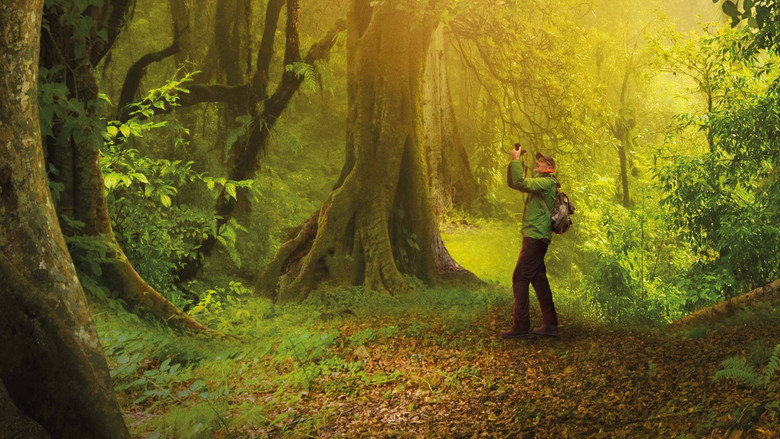 The Hidden Life of Trees backdrop